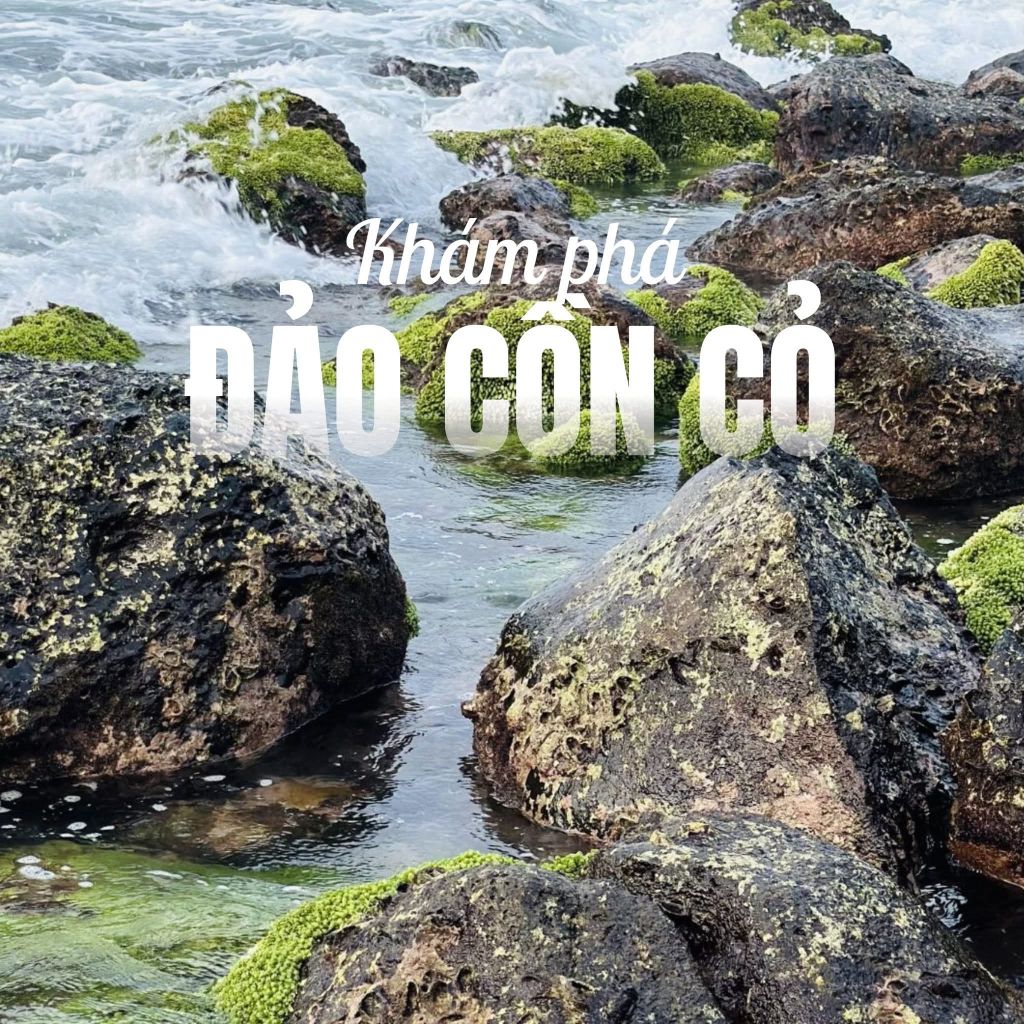 Cồn Cỏ Island Tour – Discovering the Emerald Gem in the East Sea - 1