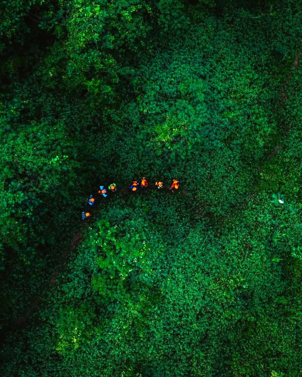 Phong Nha - Kẻ Bàng is recognized by UNESCO as a world biosphere reserve. - 2