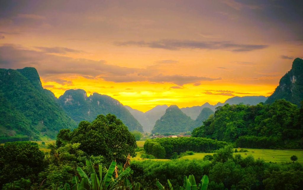 Phong Nha - Kẻ Bàng is recognized by UNESCO as a world biosphere reserve. - ảnh 9