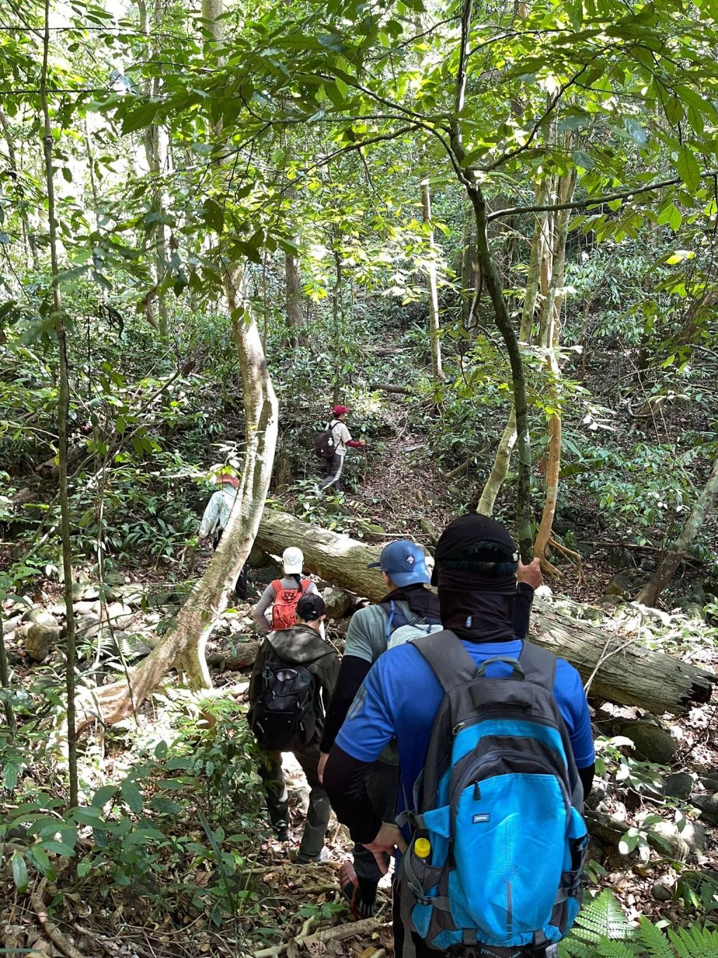 Thac Thuong Long Van - Hoa Bac, A Trekking Route Through Pristine Forest Bordering Bach Ma, Hue. - 4