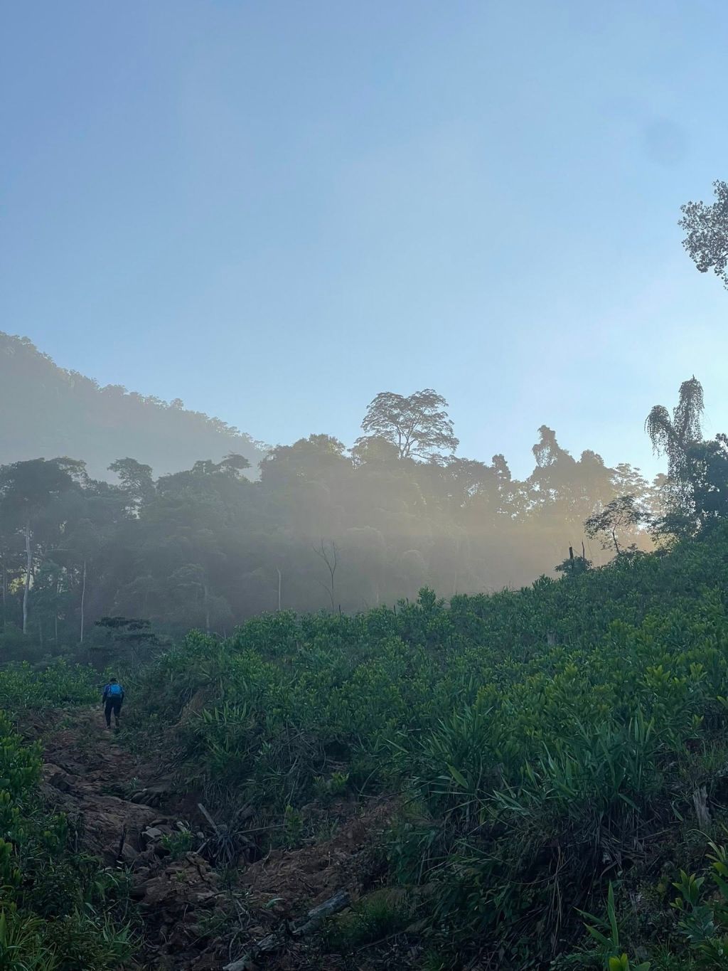 Thac Thuong Long Van - Hoa Bac, A Trekking Route Through Pristine Forest Bordering Bach Ma, Hue. - ảnh 6