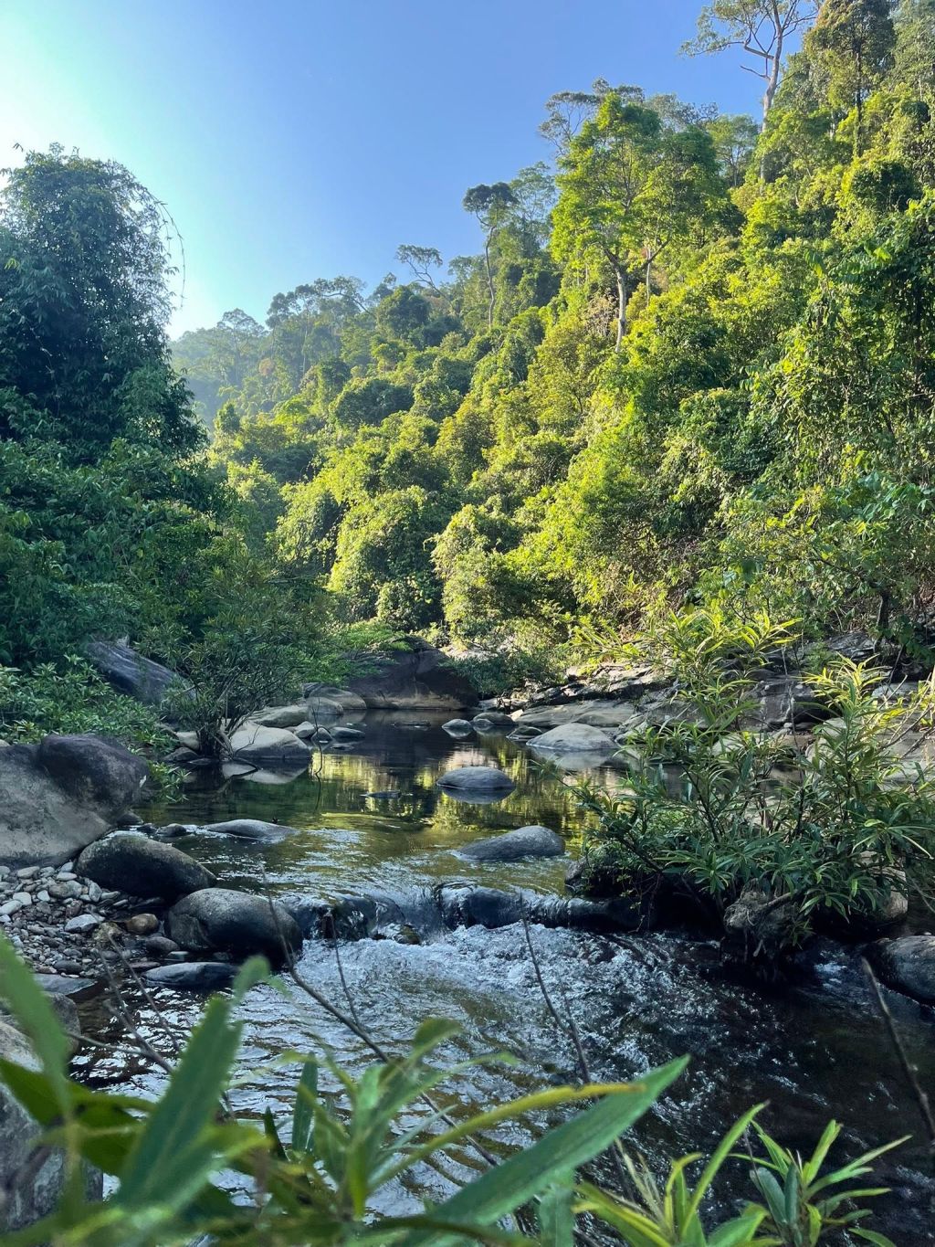 Thac Thuong Long Van - Hoa Bac, A Trekking Route Through Pristine Forest Bordering Bach Ma, Hue. - ảnh 7