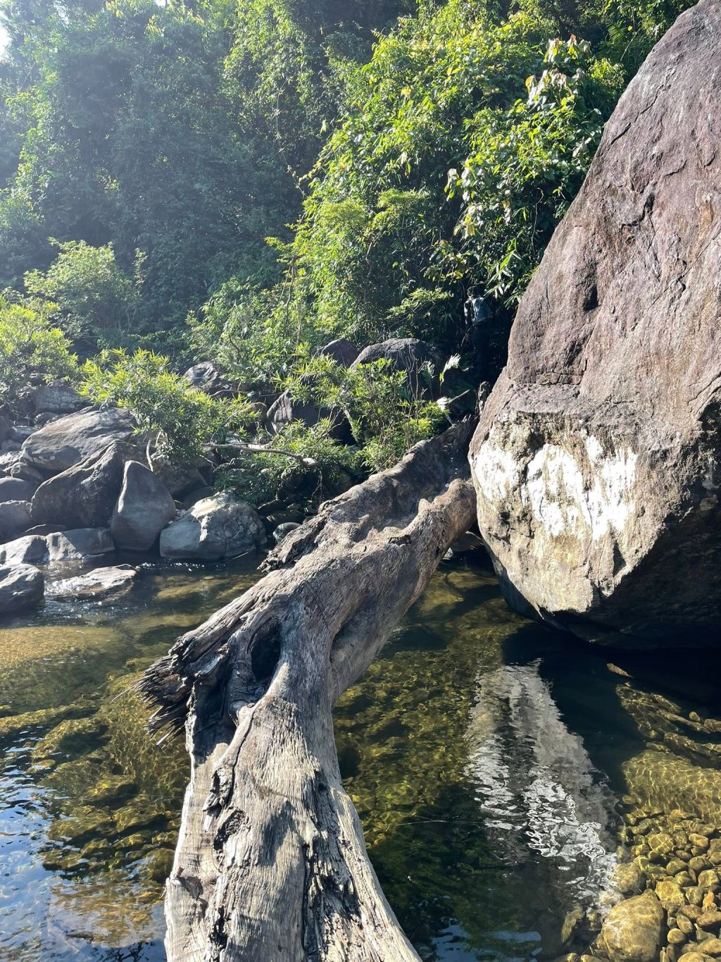 Thac Thuong Long Van - Hoa Bac, A Trekking Route Through Pristine Forest Bordering Bach Ma, Hue. - ảnh 8