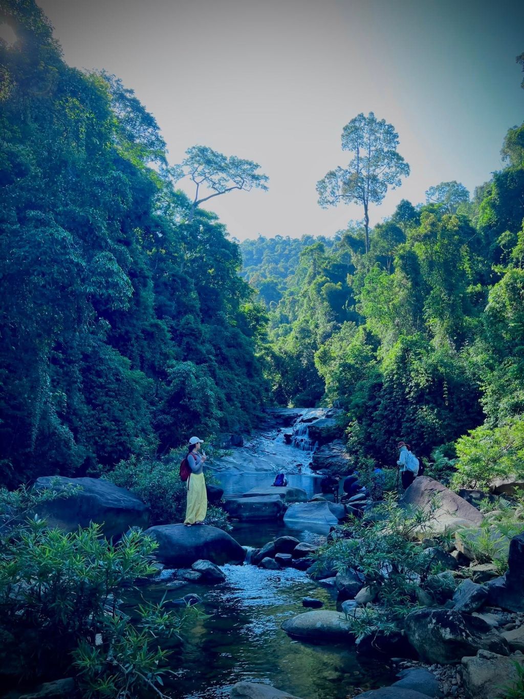Thac Thuong Long Van - Hoa Bac, A Trekking Route Through Pristine Forest Bordering Bach Ma, Hue. - ảnh 10