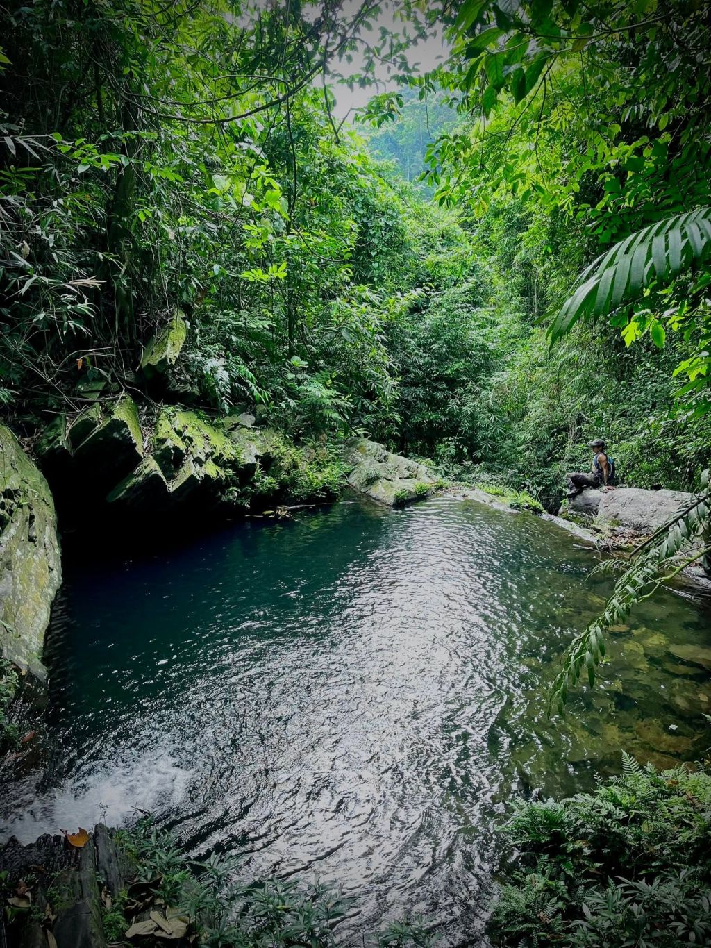 Thac Thuong Long Van - Hoa Bac, A Trekking Route Through Pristine Forest Bordering Bach Ma, Hue. - ảnh 17