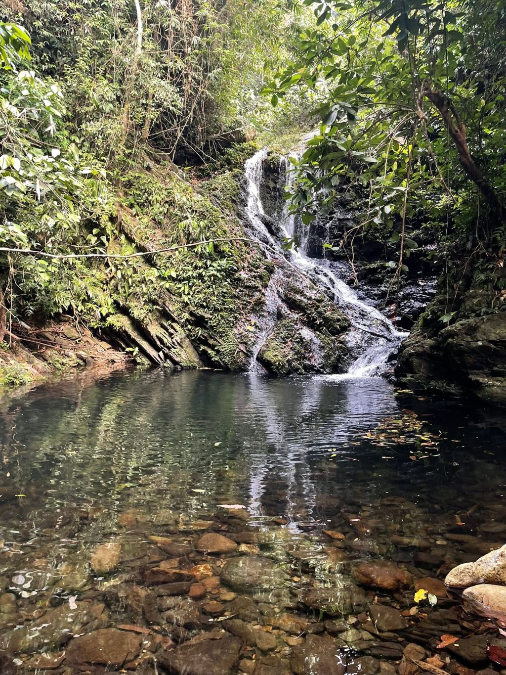 Thac Thuong Long Van - Hoa Bac, A Trekking Route Through Pristine Forest Bordering Bach Ma, Hue. - ảnh 18
