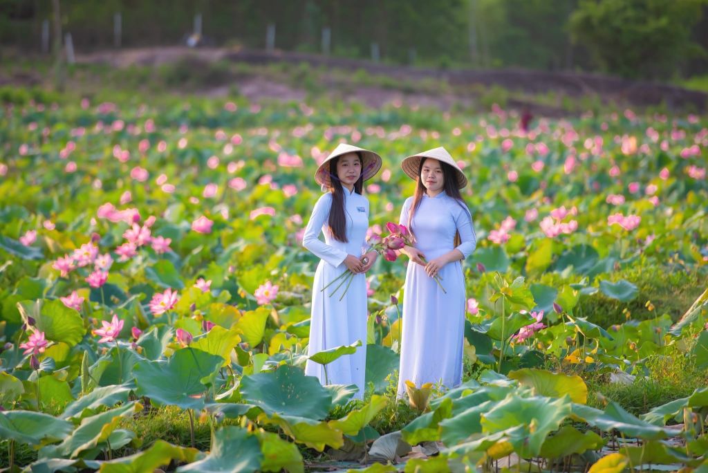 Captivated By The Simple Beauty Of The Trà Lý Lotus Field In Quảng Nam. - 3