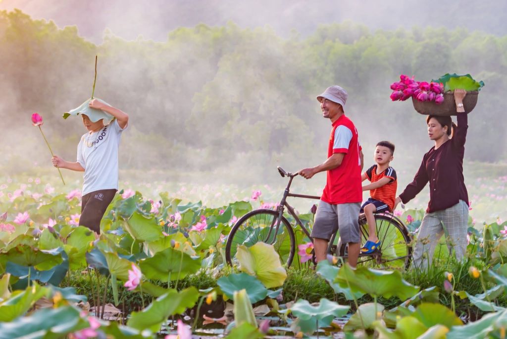 Captivated By The Simple Beauty Of The Trà Lý Lotus Field In Quảng Nam. - ảnh 5
