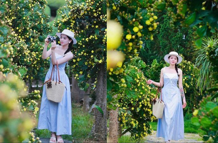 New Tourist Attraction In Moc Chau: The Beautiful Ancient Cactus Garden Resembles A Romantic Movie Setting.