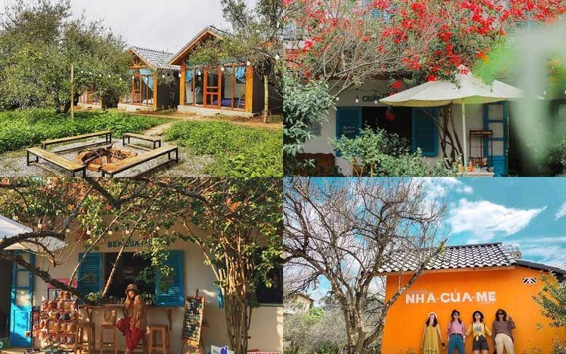 Top 15 Beautiful Mountain-View Homestays In Mộc Châu That Are Chill And Worth Experiencing.
