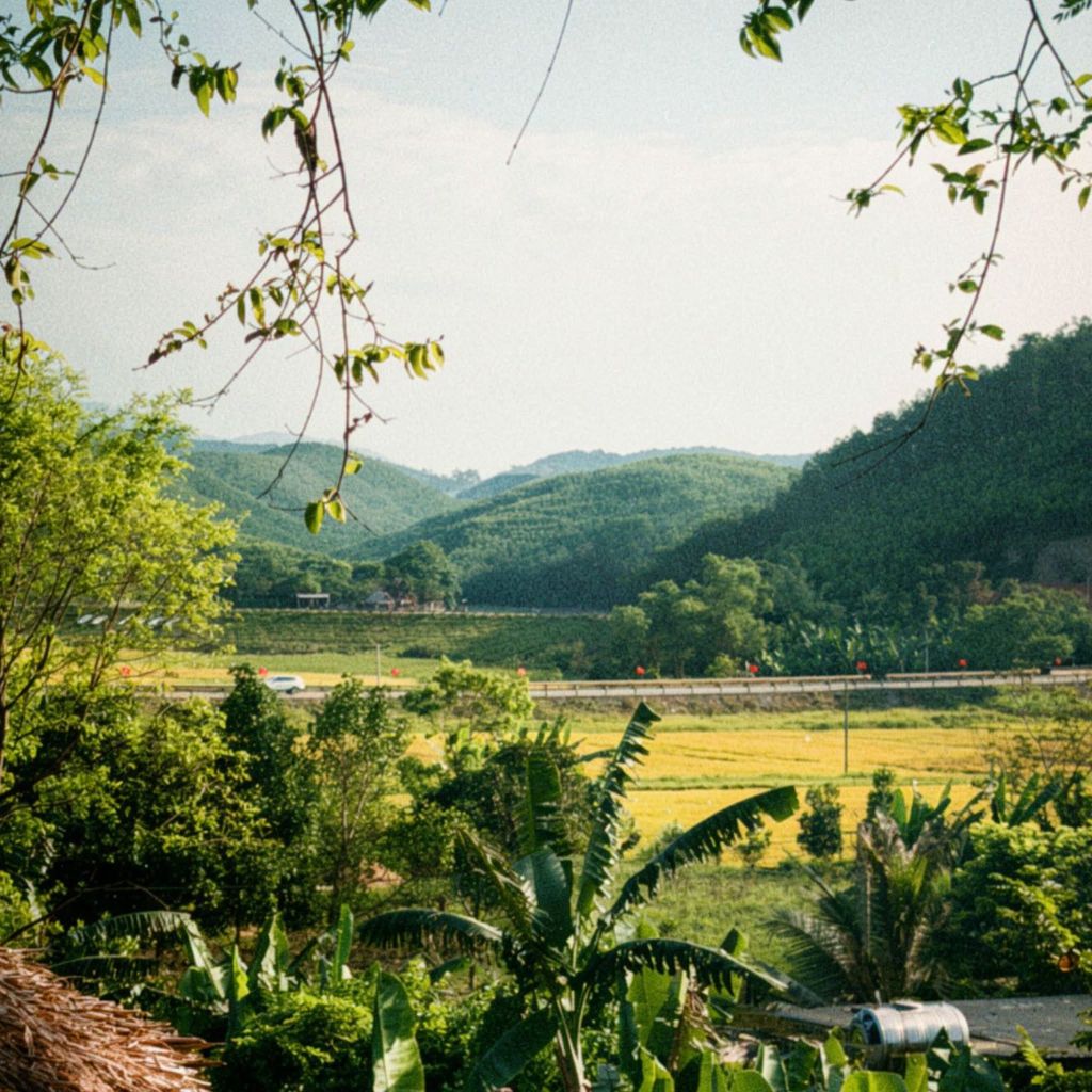 There Is A Dreamy Phong Nha That Is Astounding... - 3