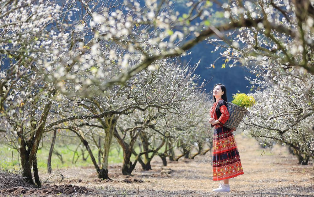 Moc Chau And Ta Xua Have Been Nominated For The 2026 World Travel Awards In The Asia Region. - 1
