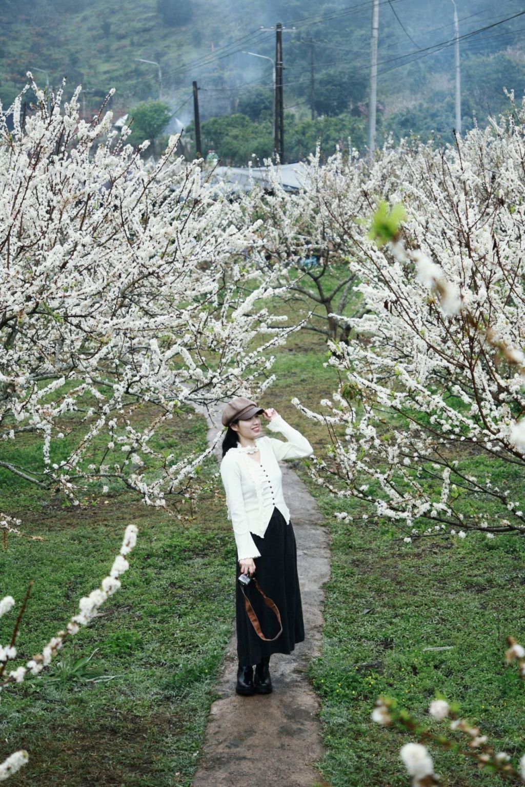 Moc Farm Moc Chau – A Year-Round Check-In Paradise With Rose Gardens, Orange Orchards, And Plum Groves.