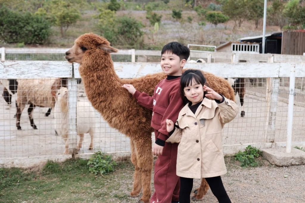 Pet Farm Moc Chau – A Super Cute Pet Farm, A "Hot" Check-In Spot For Young People.