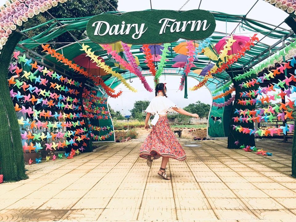 Daily Farm Moc Chau – Experience Being A Farmer At The Largest Dairy Farm In The Highlands.