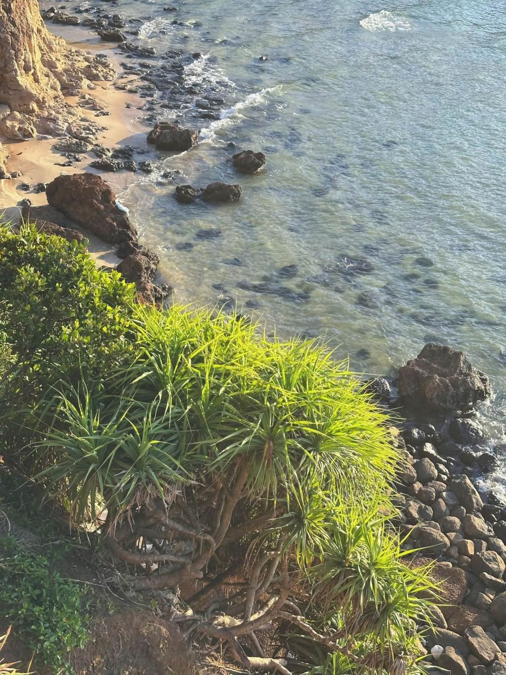 The Beaches Of Mui Treo In Quang Tri, My Hometown, Are So Beautiful. - 2