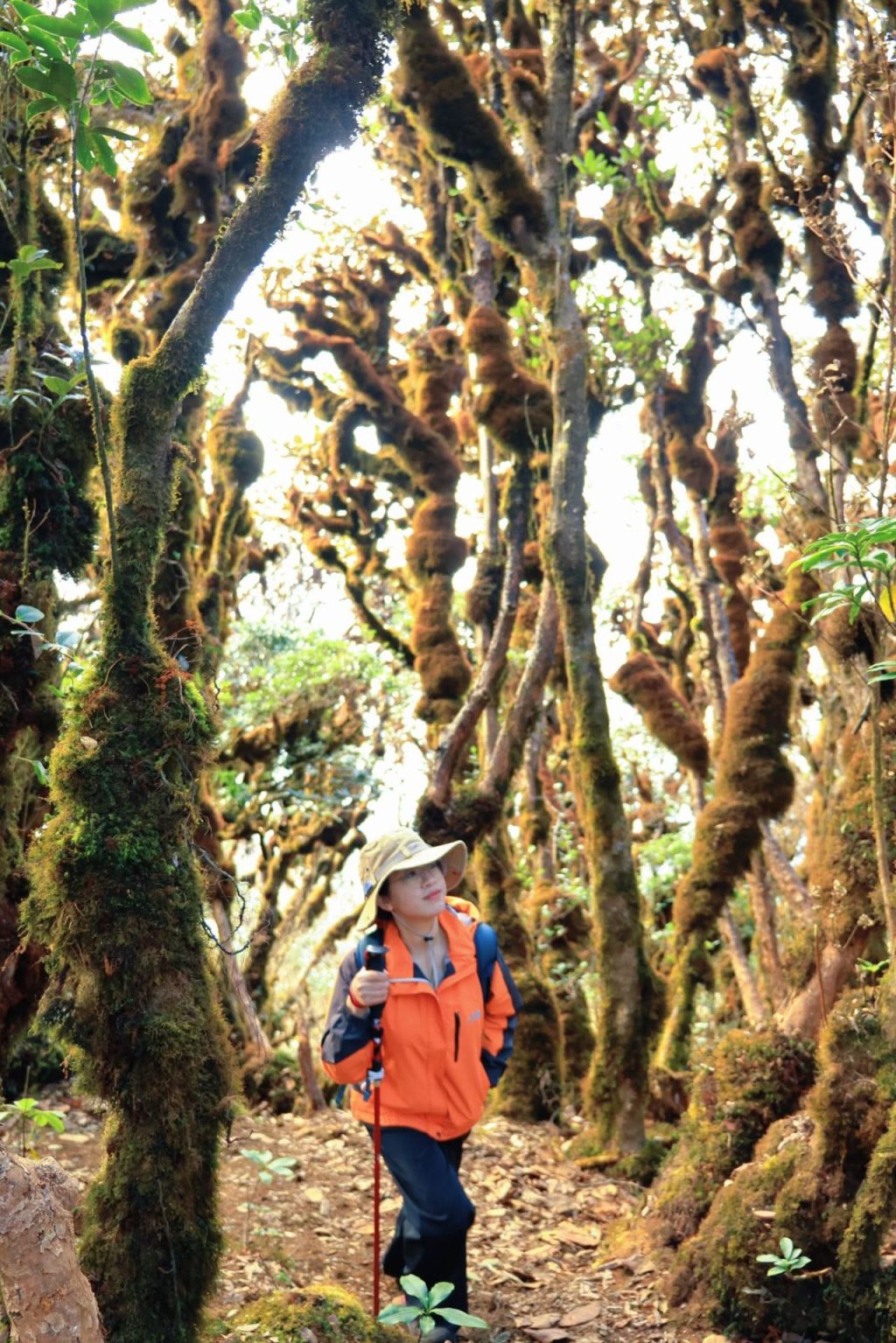 Trekking Tà Xùa (Phu Sa Phìn 2,865M)