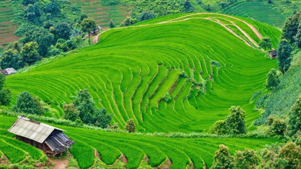 Song Chong Village