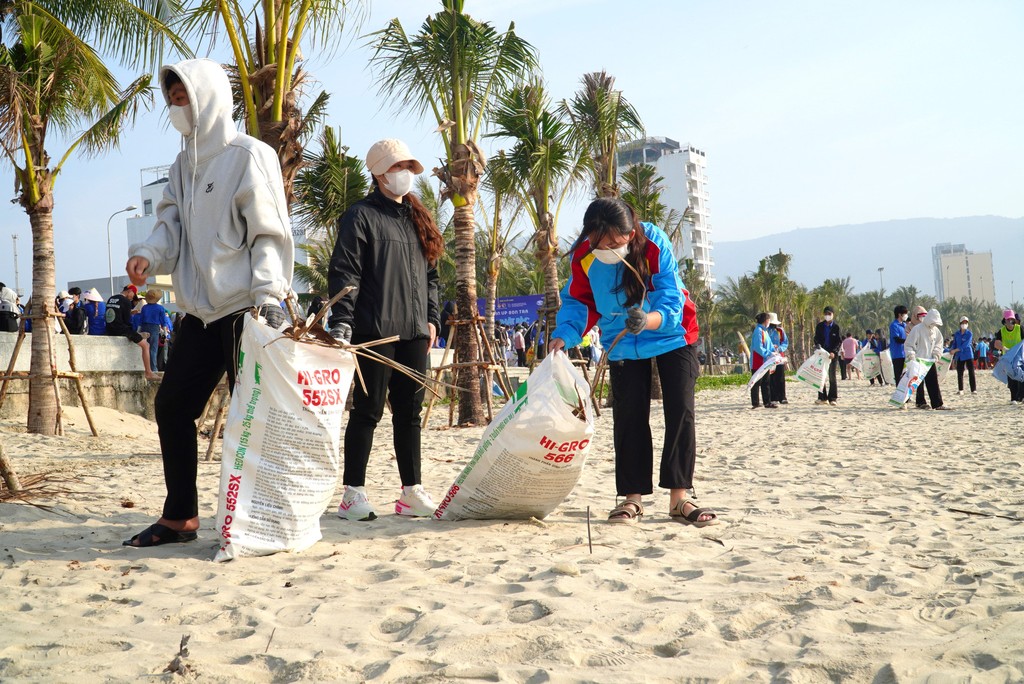 Tìm Lịch Tham Gia Clean Up Sơn Trà – Green Weekend - ảnh 5