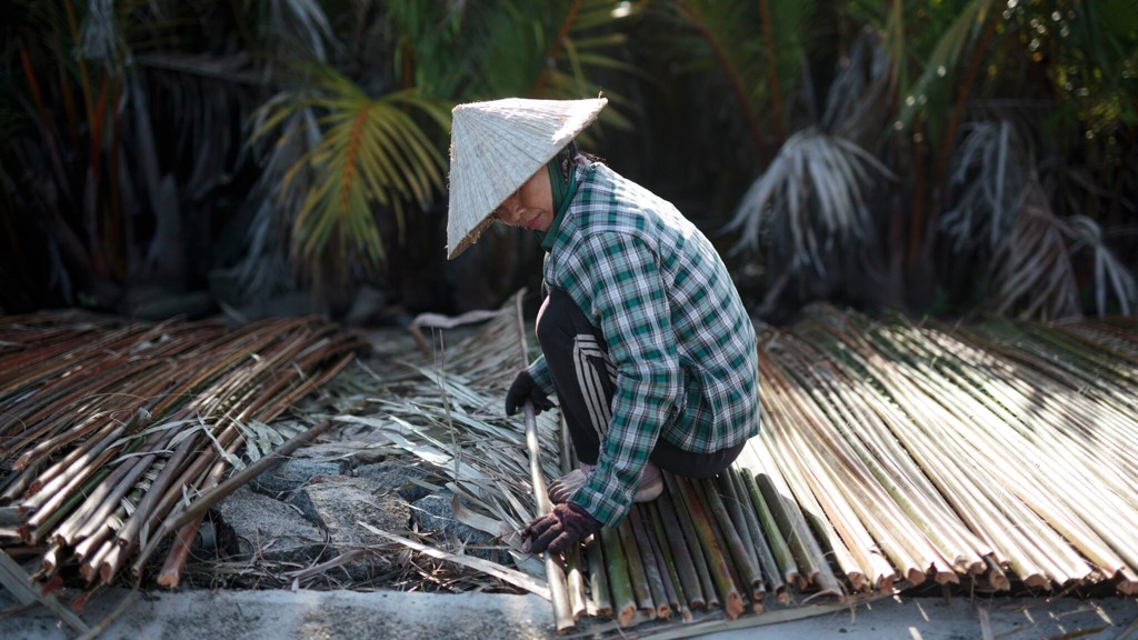 Cẩm Thanh Chuẩn Bị Tuyến Tham Quan Kết Hợp Rừng Dừa Và Nghề Truyền Thống - ảnh 5