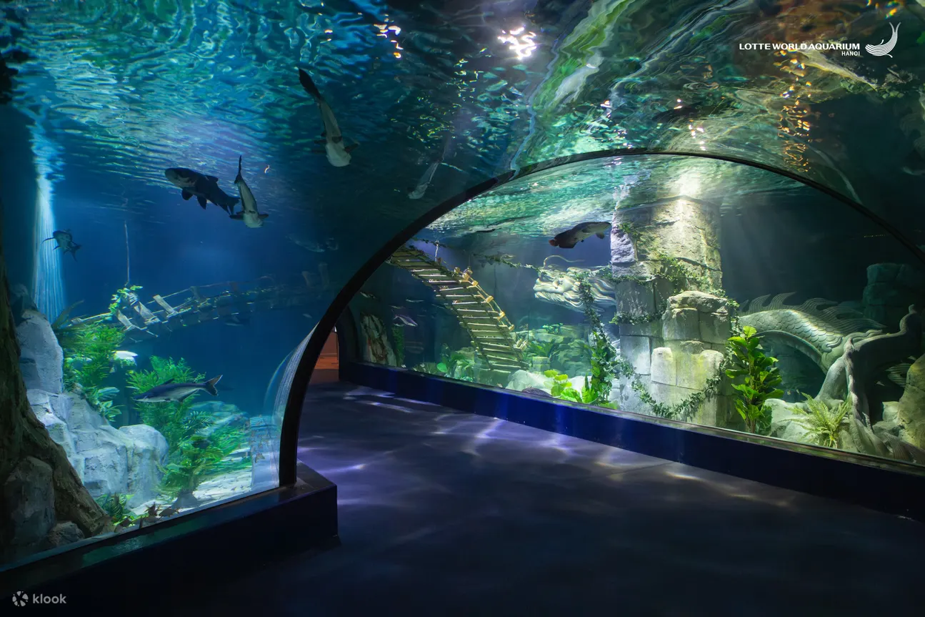 VÉ THỦY CUNG LOTTE WORLD HÀ NỘI